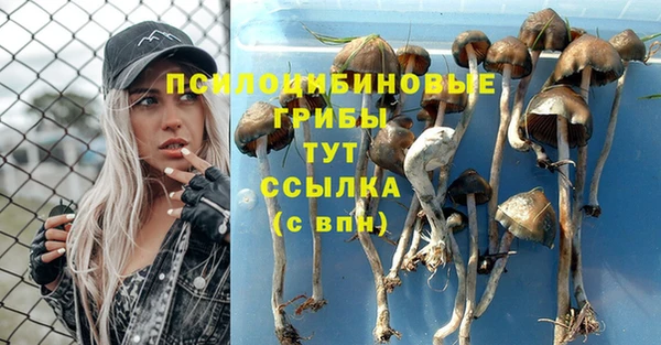 дурь Балабаново