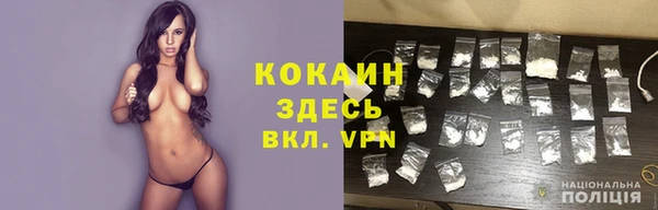 сатива Балахна