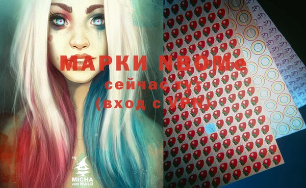 сатива Балахна