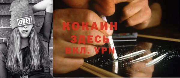 сатива Балахна